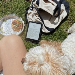 Dog relaxing outside in the sun